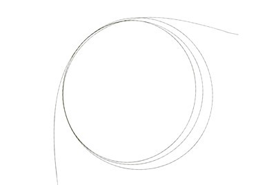 دليل سلك زيبرا القابل للتصرف